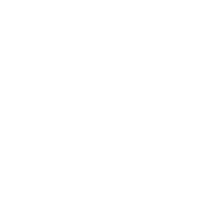 Security Icon